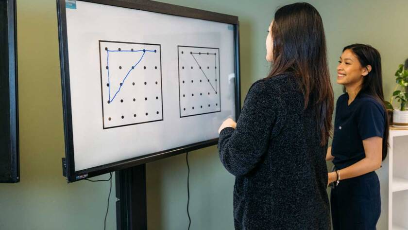 Understanding Brain Plasticity